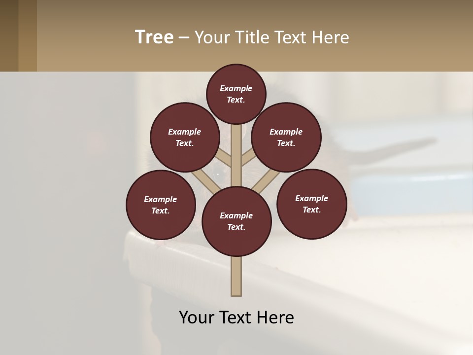 Small Man Park PowerPoint Template