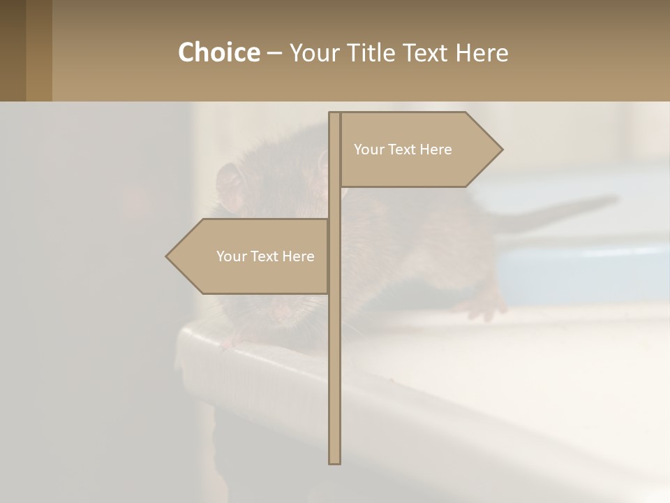 Small Man Park PowerPoint Template