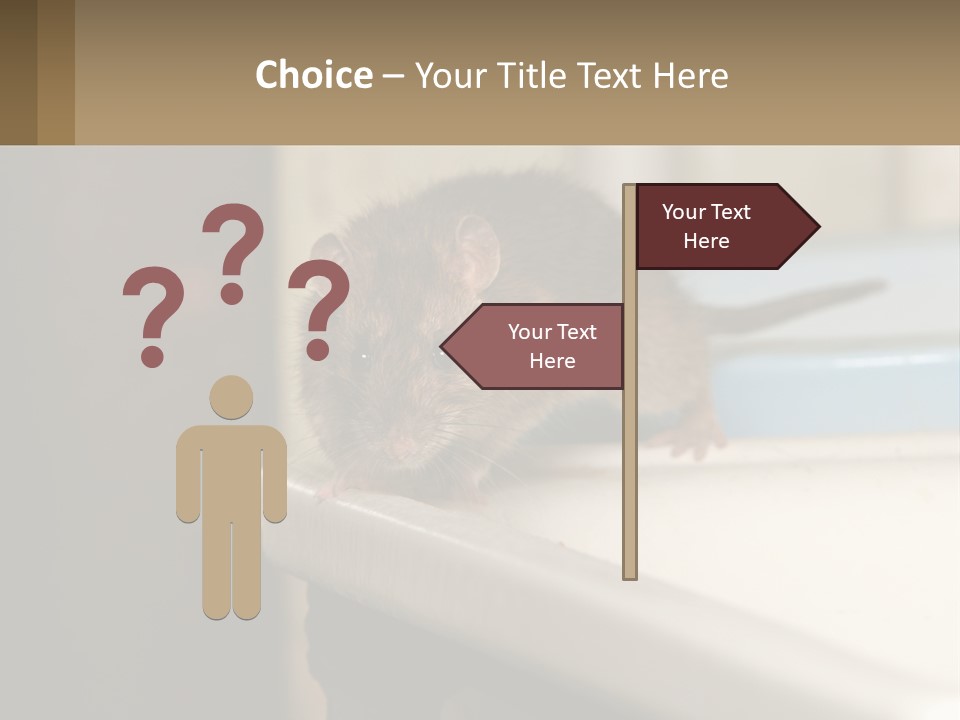 Small Man Park PowerPoint Template