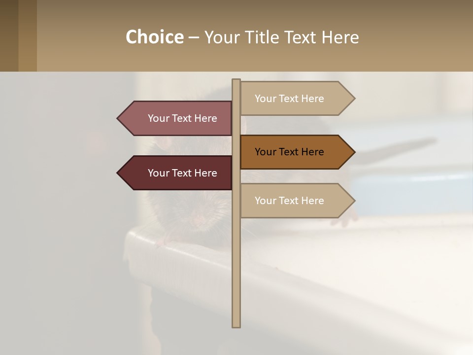 Small Man Park PowerPoint Template