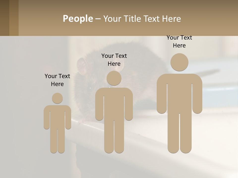 Small Man Park PowerPoint Template