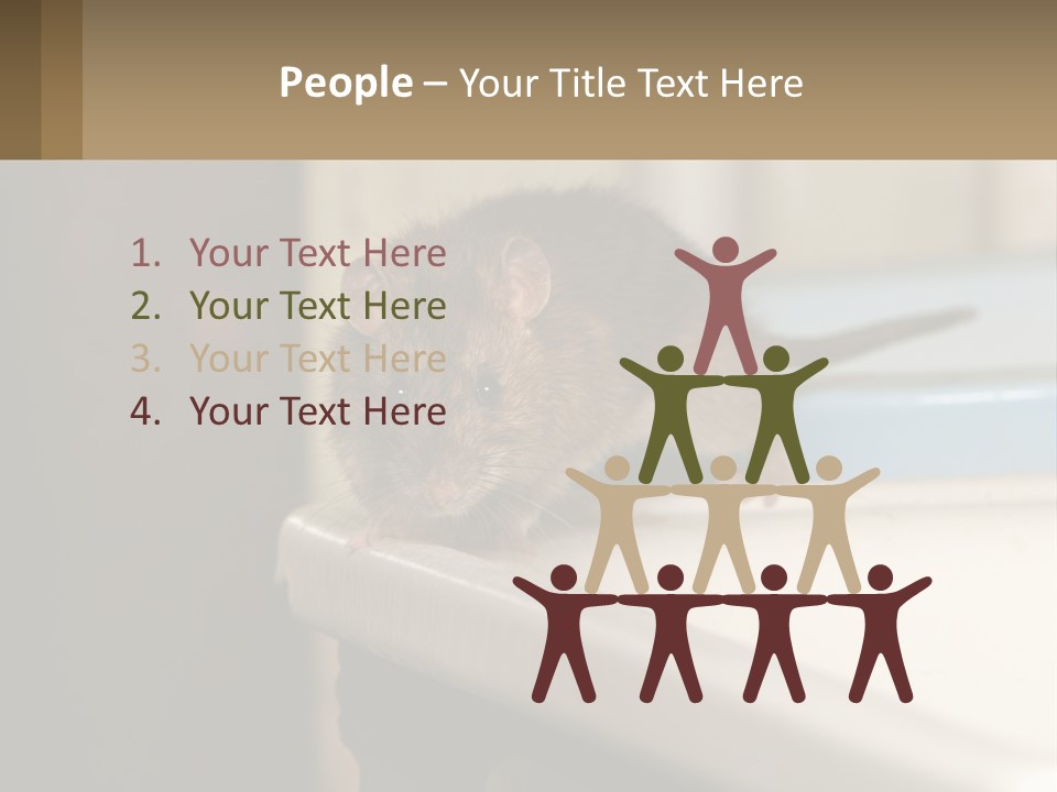 Small Man Park PowerPoint Template