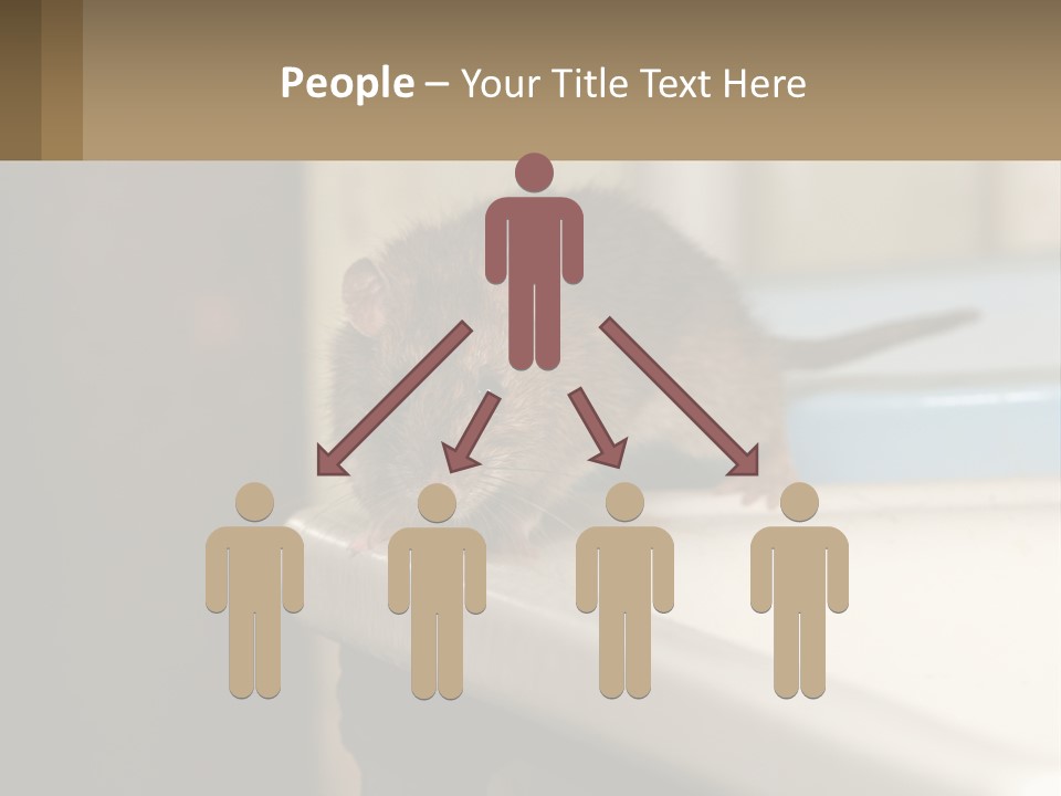 Small Man Park PowerPoint Template