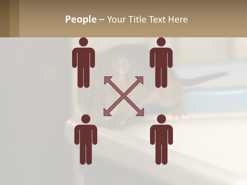 Small Man Park PowerPoint Template