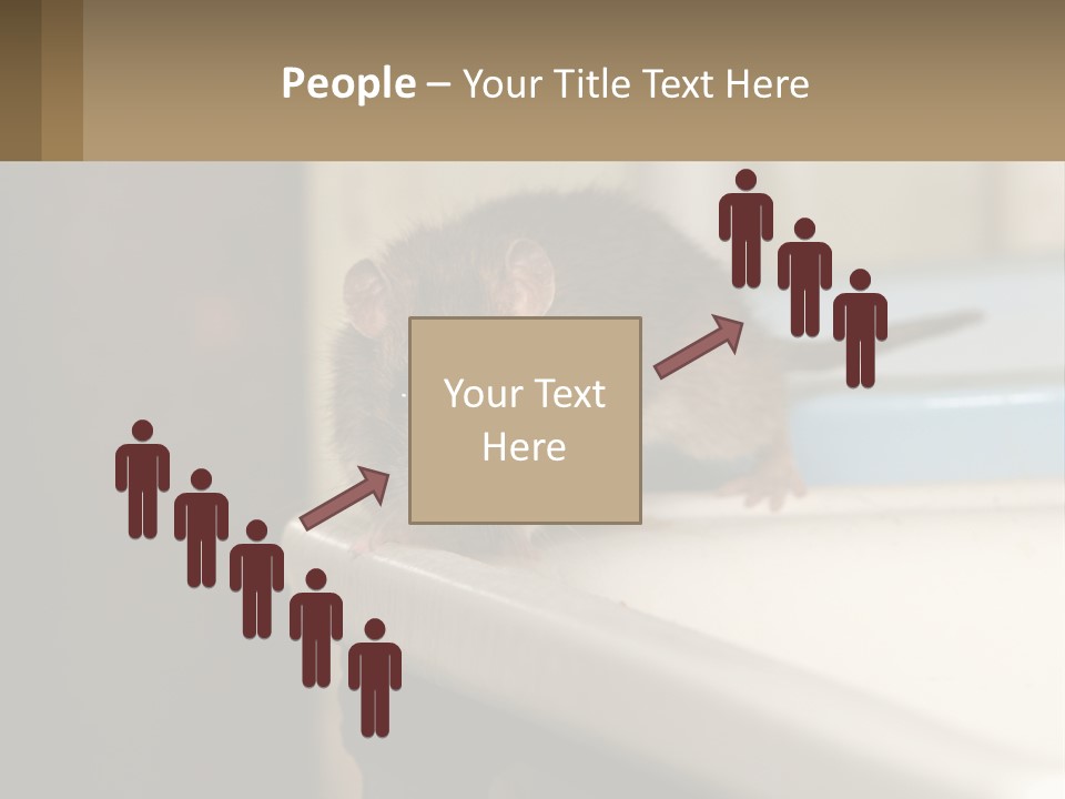 Small Man Park PowerPoint Template