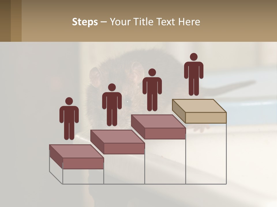 Small Man Park PowerPoint Template