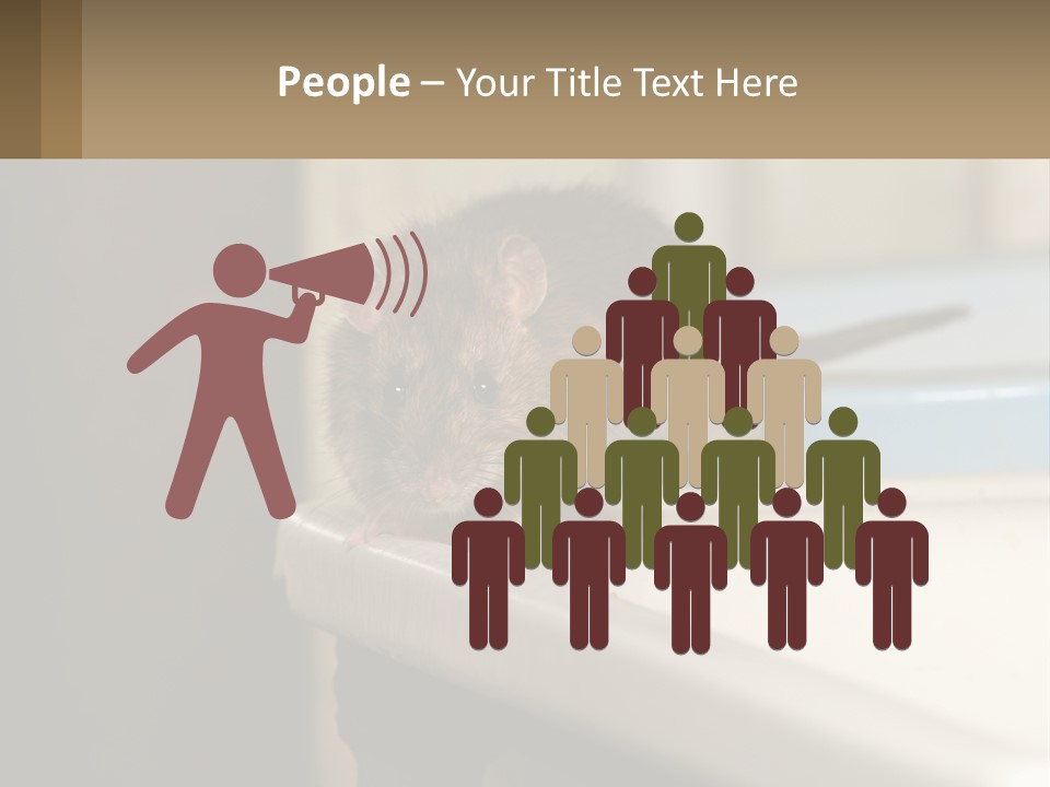 Small Man Park PowerPoint Template