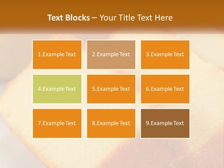 Dream Selling Finance PowerPoint Template