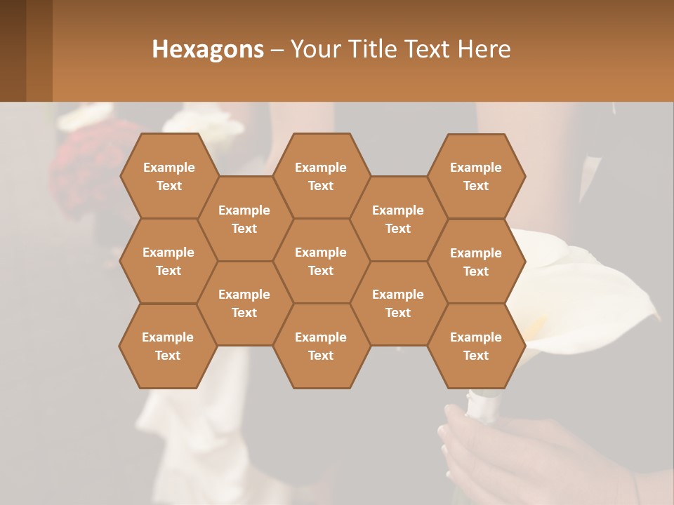 Finance Loan Holding PowerPoint Template