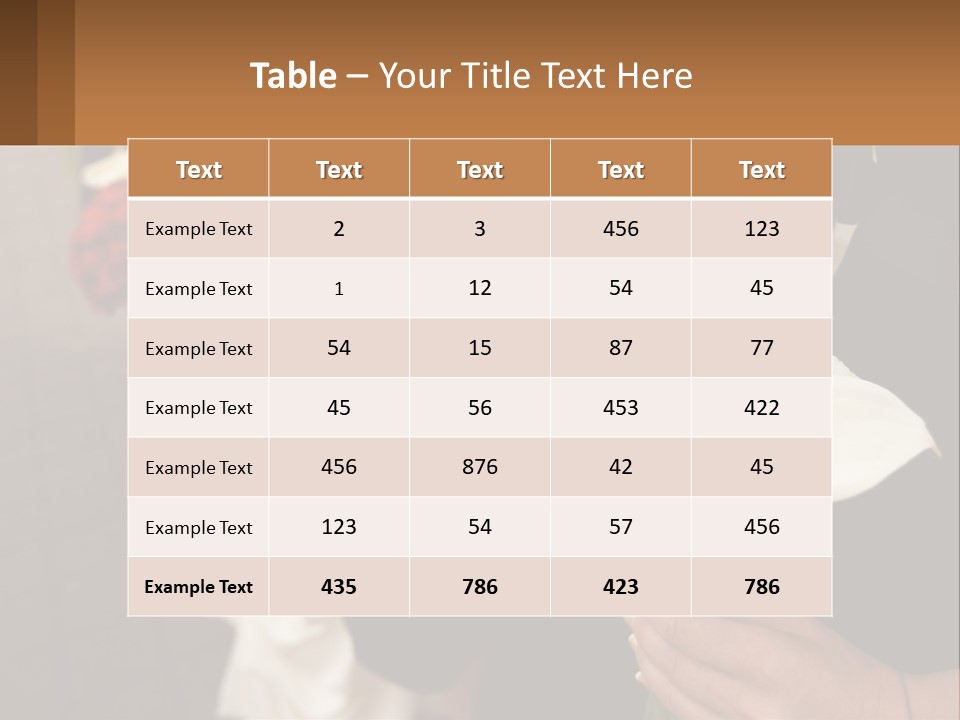 Finance Loan Holding PowerPoint Template