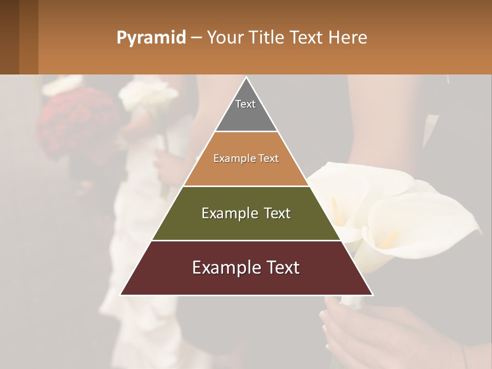 Finance Loan Holding PowerPoint Template