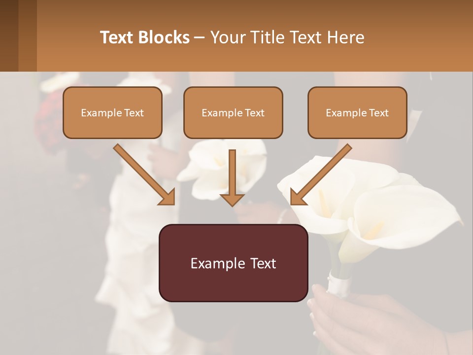 Finance Loan Holding PowerPoint Template