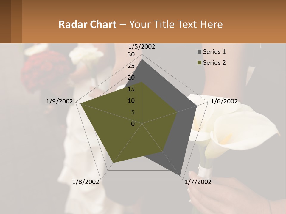 Finance Loan Holding PowerPoint Template