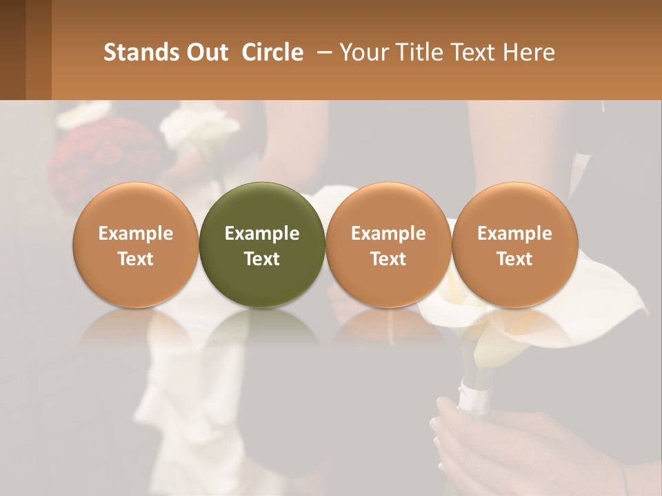 Finance Loan Holding PowerPoint Template