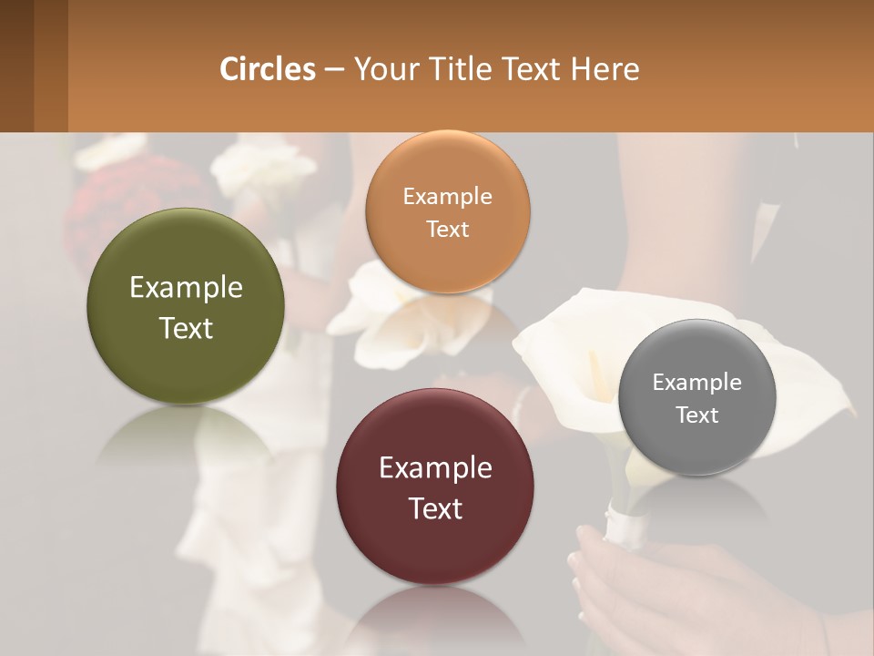 Finance Loan Holding PowerPoint Template