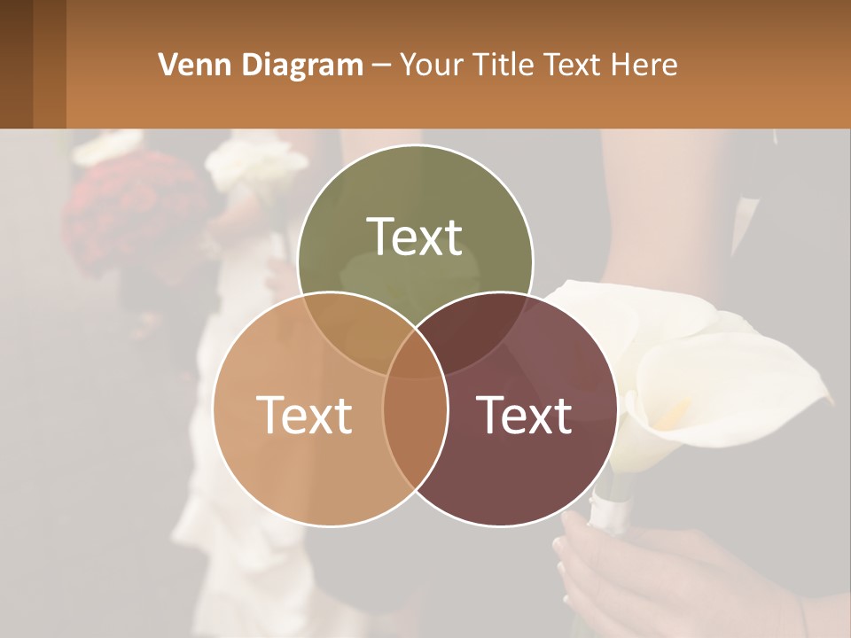 Finance Loan Holding PowerPoint Template