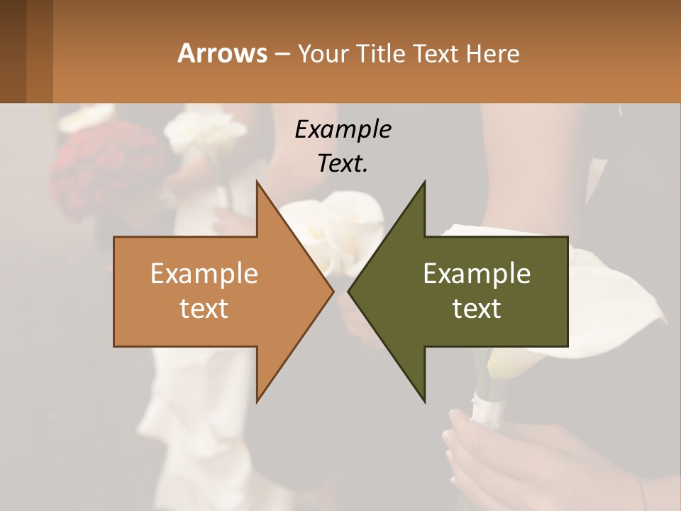 Finance Loan Holding PowerPoint Template