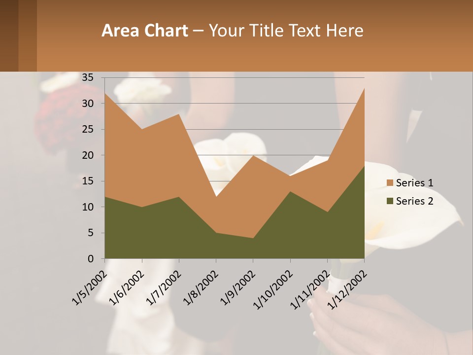 Finance Loan Holding PowerPoint Template