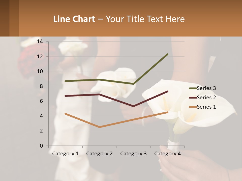 Finance Loan Holding PowerPoint Template