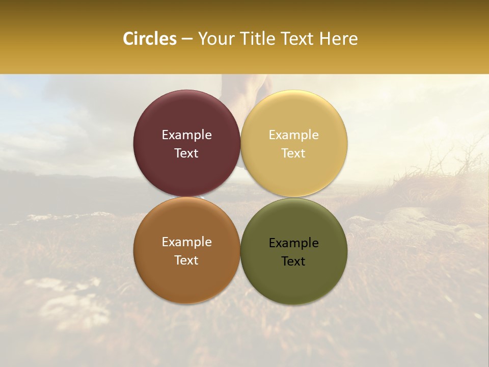 Lawn Structure Dream PowerPoint Template