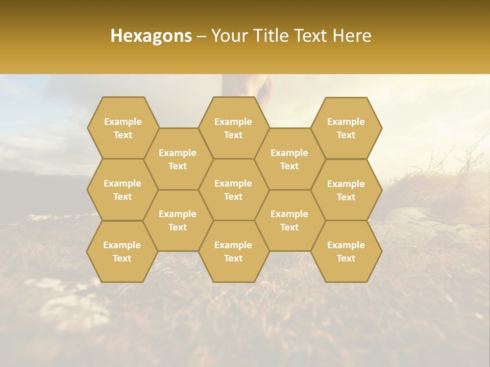 Lawn Structure Dream PowerPoint Template