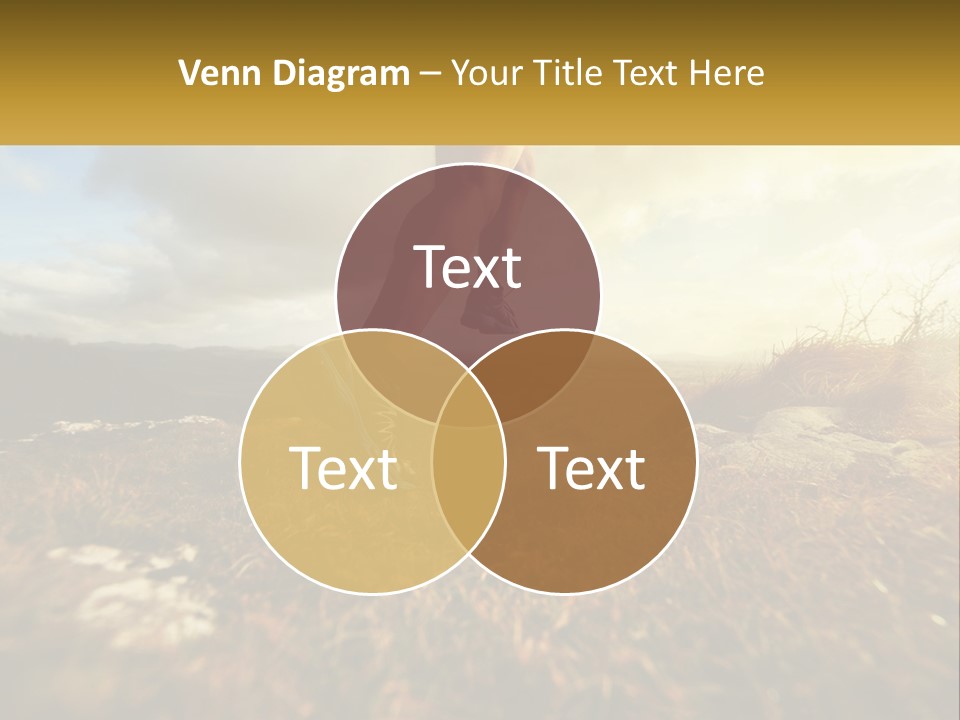 Lawn Structure Dream PowerPoint Template