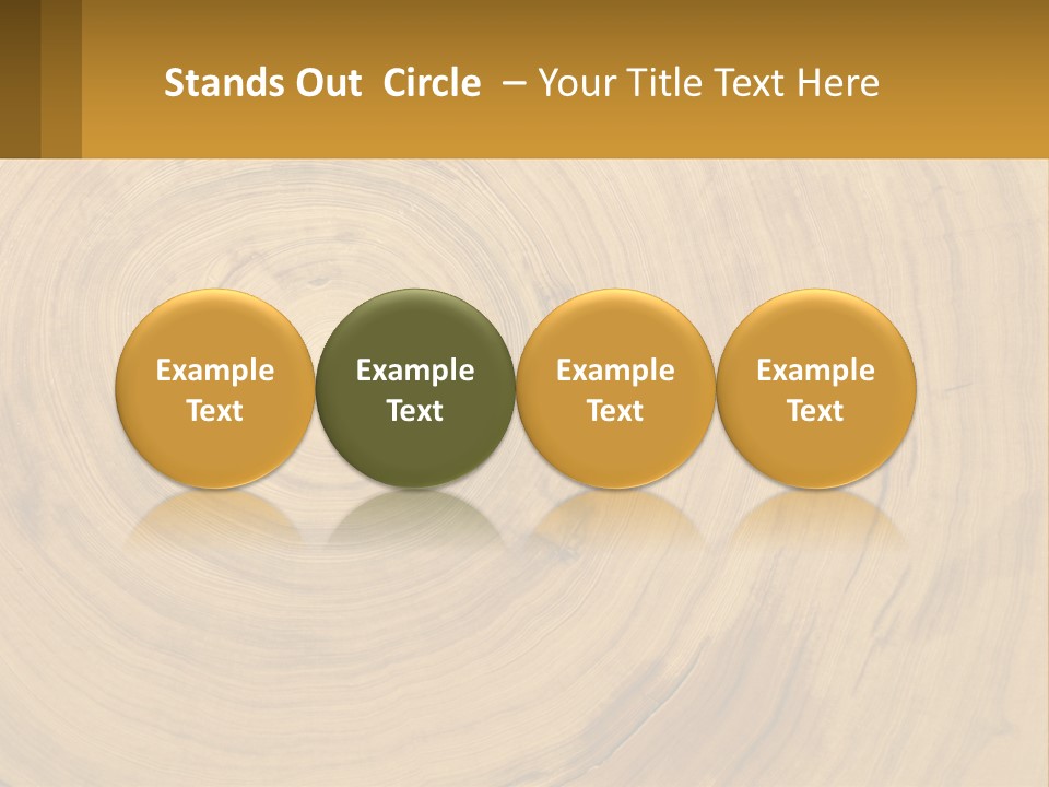 Investment Ownership Property PowerPoint Template