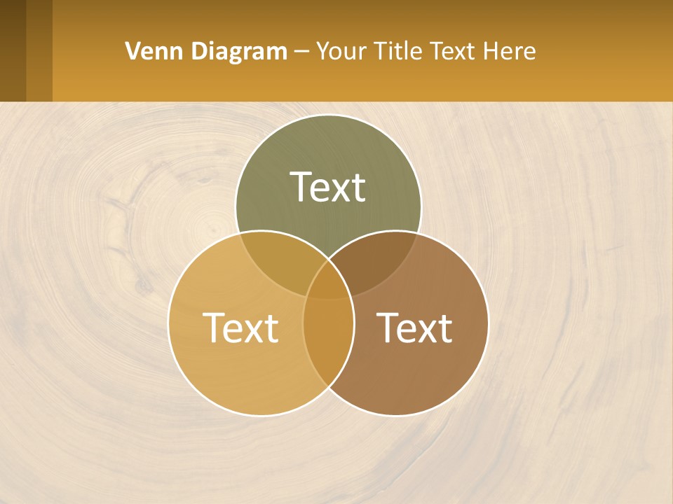 Investment Ownership Property PowerPoint Template