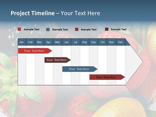 Residential Buy Business PowerPoint Template