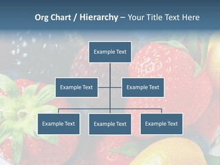 Residential Buy Business PowerPoint Template