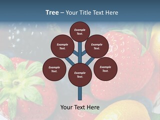 Residential Buy Business PowerPoint Template