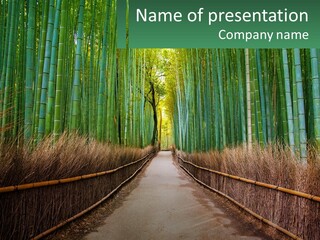 Hand Rent Leaf PowerPoint Template