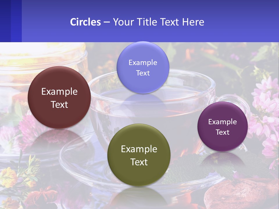 Nature Holding Investment PowerPoint Template