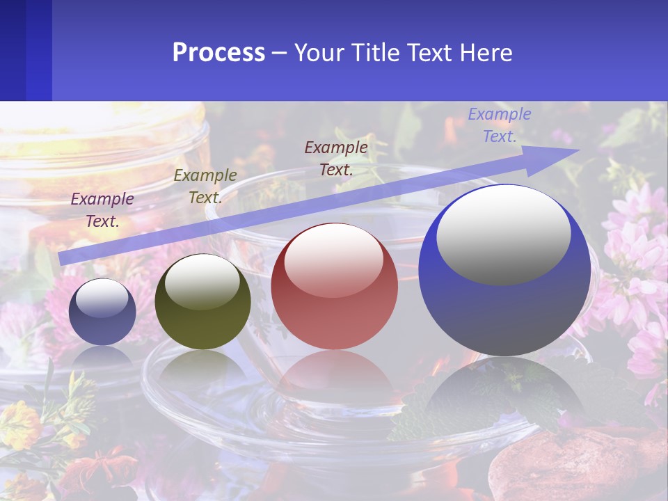Nature Holding Investment PowerPoint Template