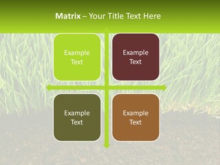 Construct Background Build PowerPoint Template