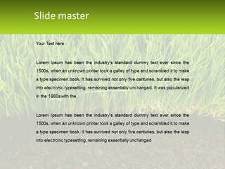 Construct Background Build PowerPoint Template