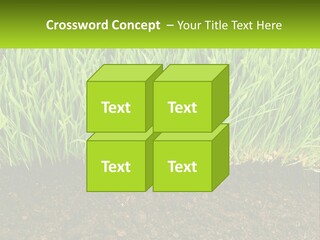 Construct Background Build PowerPoint Template