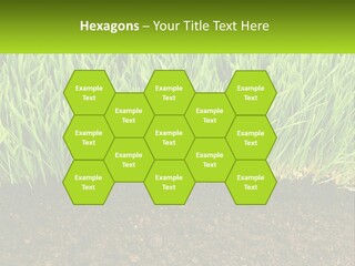 Construct Background Build PowerPoint Template