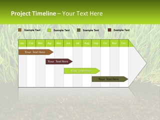 Construct Background Build PowerPoint Template
