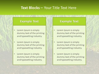 Construct Background Build PowerPoint Template