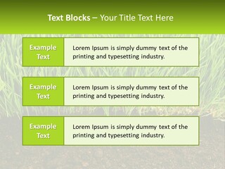 Construct Background Build PowerPoint Template