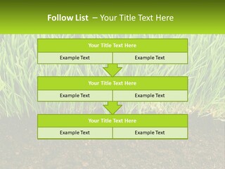 Construct Background Build PowerPoint Template
