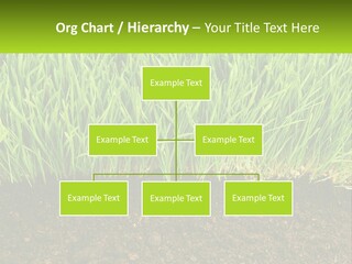 Construct Background Build PowerPoint Template