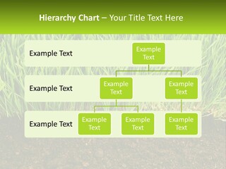 Construct Background Build PowerPoint Template