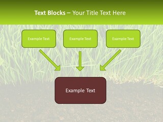 Construct Background Build PowerPoint Template