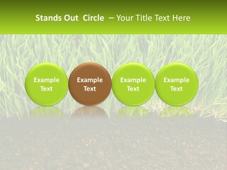 Construct Background Build PowerPoint Template