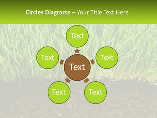 Construct Background Build PowerPoint Template