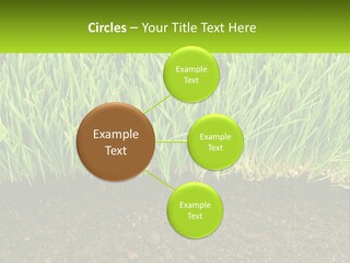 Construct Background Build PowerPoint Template