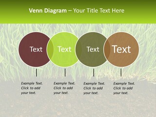 Construct Background Build PowerPoint Template