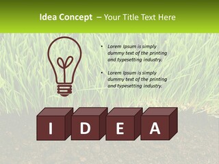 Construct Background Build PowerPoint Template